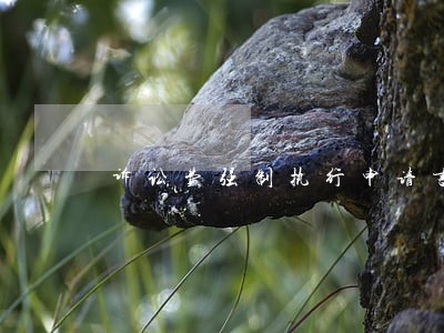 诉讼费强制执行申请书 诉讼费强制执行申请书