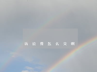 诉讼费怎么交啊 诉讼费怎么交啊