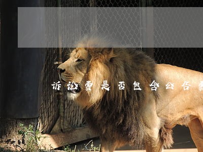 诉讼费是否包含公告费 诉讼费是否包含公告费
