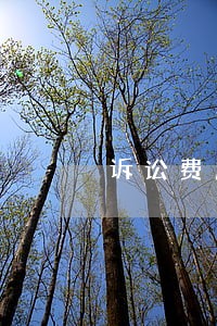 诉讼费用是单独的诉讼请求吗 诉讼费用是单独的诉讼请求吗