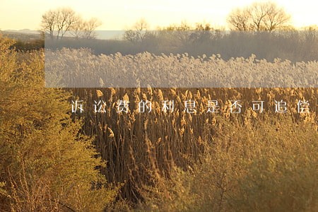 诉讼费的利息是否可追偿 诉讼费的利息是否可追偿