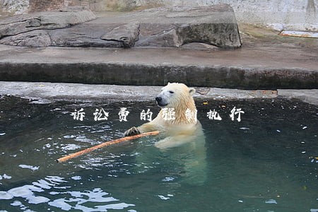 诉讼费的强制执行 诉讼费的强制执行