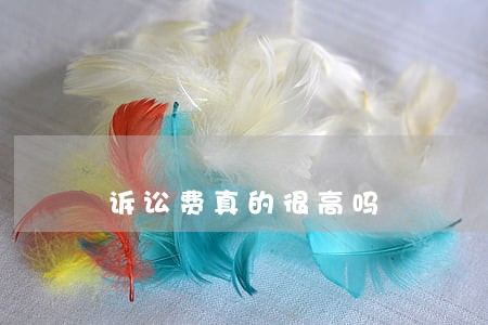 诉讼费真的很高吗 诉讼费真的很高吗