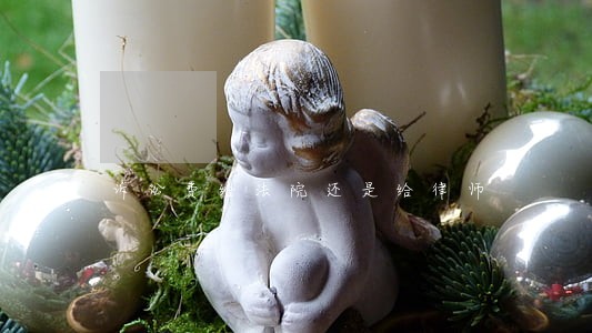 诉讼费给法院还是给律师 诉讼费给法院还是给律师