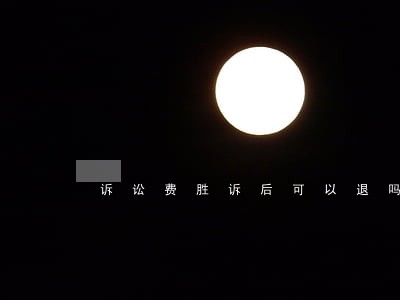 诉讼费胜诉后可以退吗