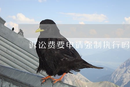 诉讼费要申请强制执行吗 诉讼费要申请强制执行吗