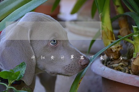 诉讼费计算器下载大全 诉讼费计算器下载大全