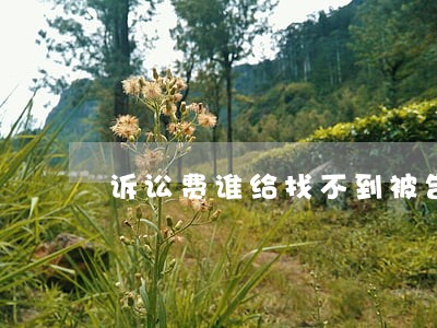 诉讼费谁给找不到被告 诉讼费谁给找不到被告