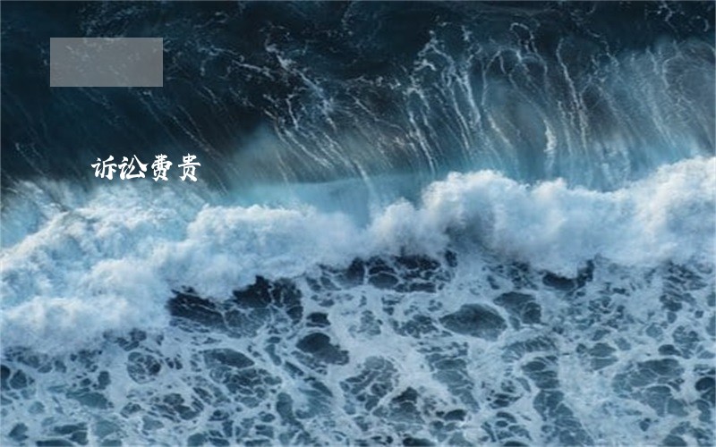 诉讼费贵