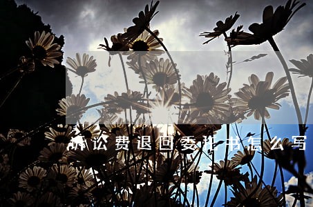 诉讼费退回委托书怎么写 诉讼费退回委托书怎么写