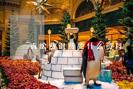 诉讼费退费要什么资料 诉讼费退费要什么资料