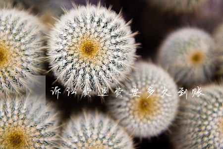 诉讼费退费要多久到账 诉讼费退费要多久到账