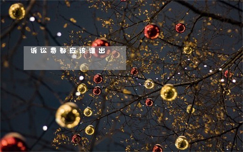 诉讼费都应该谁出 诉讼费都应该谁出