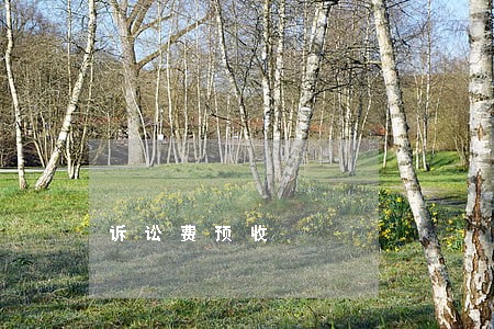 诉讼费预收