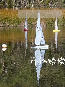 诉讼赔偿要求变更 诉讼赔偿要求变更