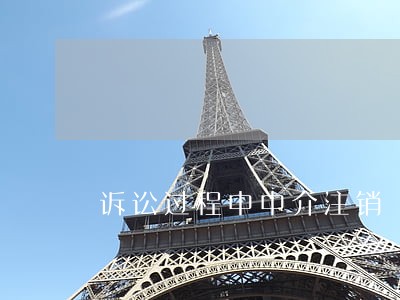 诉讼过程中中介注销