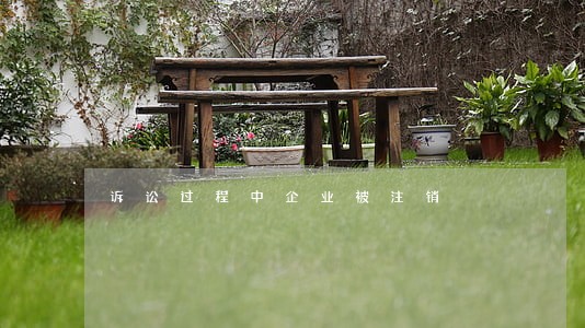 诉讼过程中企业被注销