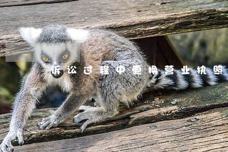 诉讼过程中更换营业执照