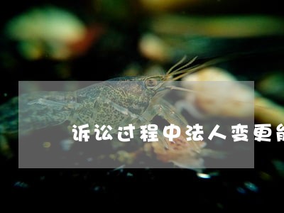 诉讼过程中法人变更能否追究责任 诉讼过程中法人变更能否追究责任