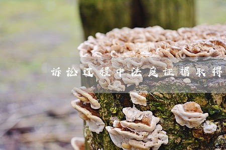 诉讼过程中法庭证据取得途径