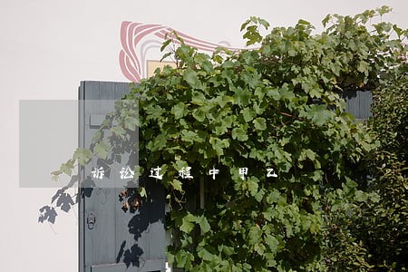 诉讼过程中甲乙