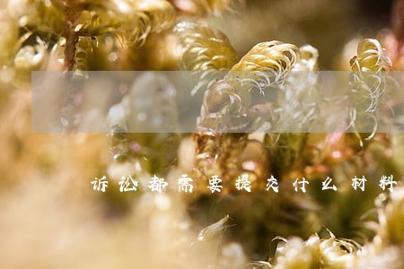 诉讼都需要提交什么材料 诉讼都需要提交什么材料