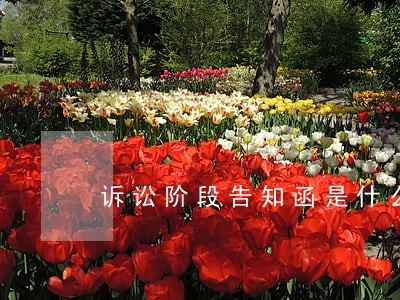 诉讼阶段告知函是什么