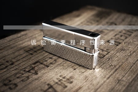 诉讼需要程序性来源 诉讼需要程序性来源