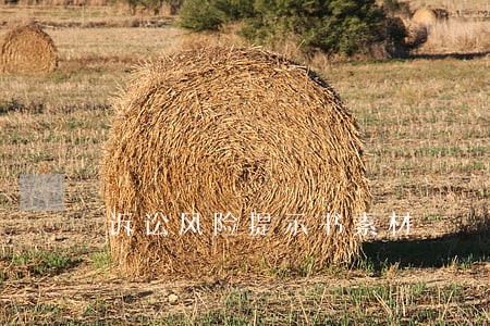 诉讼风险提示书素材 诉讼风险提示书素材