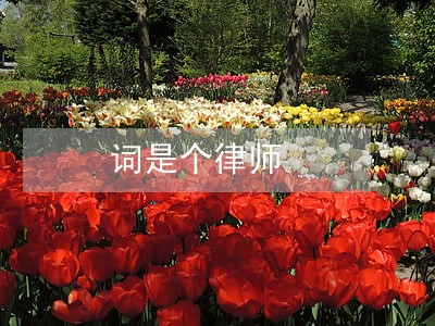 词是个律师 词是个律师