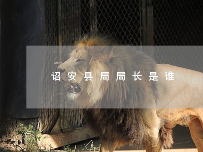 诏安县局局长是谁 诏安县局局长是谁