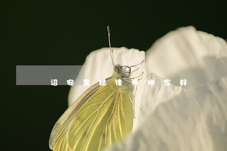 诏安离婚律师哪家好 诏安离婚律师哪家好