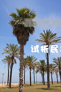 试析民事司法心理学方法 试析民事司法心理学方法