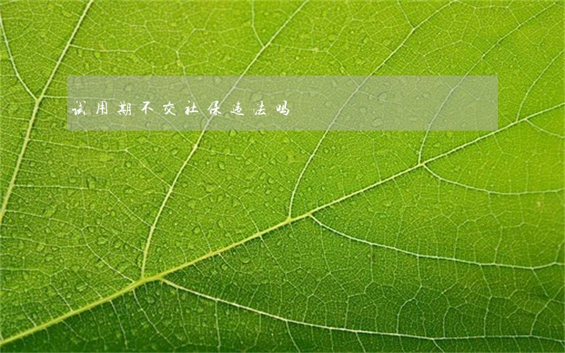 试用期不交社保违法吗
