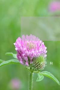 试用期不签试用合同违法吗 试用期不签试用合同违法吗