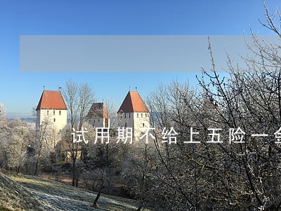 试用期不给上五险一金违法吗 试用期不给上五险一金违法吗