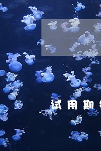 试用期按劳动法怎么算工资