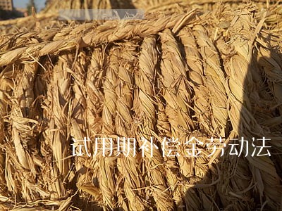 试用期补偿金劳动法 试用期补偿金劳动法