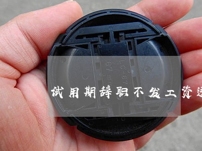 试用期辞职不发工资违法吗 试用期辞职不发工资违法吗