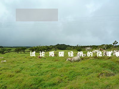 试论低碳经济的法律保障 试论低碳经济的法律保障