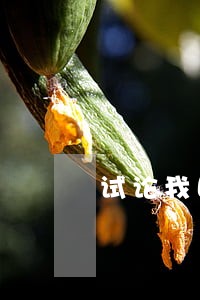 试论我国专门法院设置的改革 试论我国专门法院设置的改革