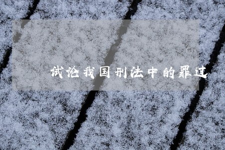 试论我国刑法中的罪过 试论我国刑法中的罪过