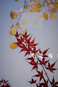 试述我国民法的体系 试述我国民法的体系