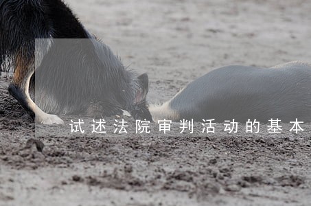 试述法院审判活动的基本制度 试述法院审判活动的基本制度