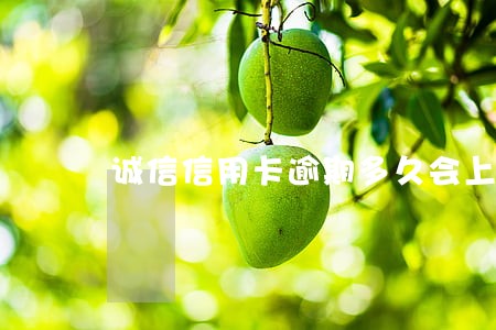 诚信信用卡逾期多久会上征信