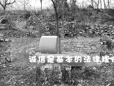 诚信是基本的法律理性 诚信是基本的法律理性