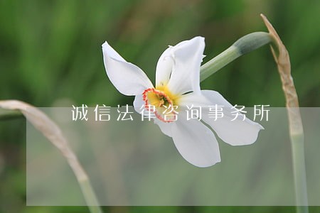 诚信法律咨询事务所 诚信法律咨询事务所