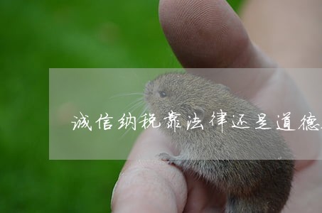 诚信纳税靠法律还是道德攻辩 诚信纳税靠法律还是道德攻辩