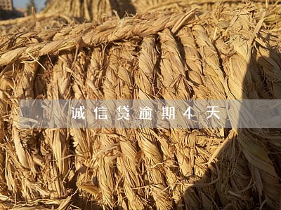 诚信贷逾期4天 诚信贷逾期4天