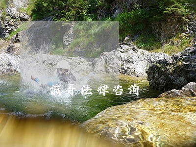 诚哥法律咨询 诚哥法律咨询